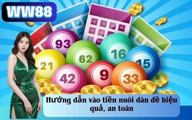 Hướng dẫn vào tiền nuôi dàn đề hiệu quả, an toàn