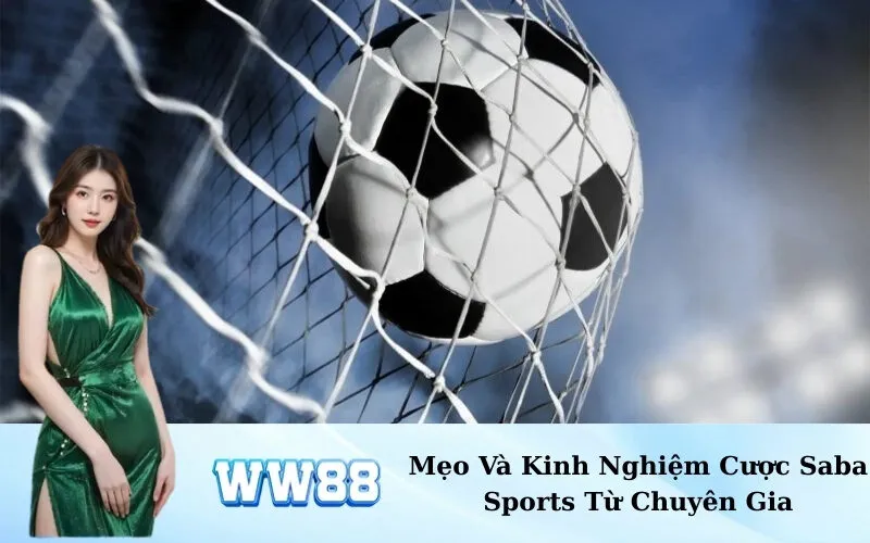 Mẹo Và Kinh Nghiệm Cược Saba Sports Từ Chuyên Gia